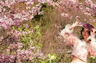 开云注册-关于风云突变里尔关键时刻状态回暖；法国杯版图或变；球迷炸锅；高层口径保持一致的信息