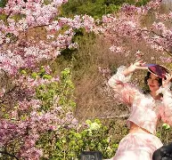 关于风云突变里尔关键时刻状态回暖；法国杯版图或变；球迷炸锅；高层口径保持一致的信息